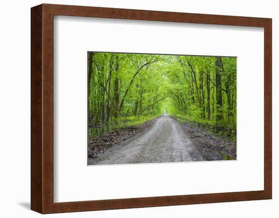 LaRue-Pine Hills Otter Pond Natural Area, Shawnee National Forest. Union County, Illinois.-Richard & Susan Day-Framed Photographic Print