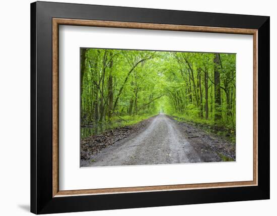 LaRue-Pine Hills Otter Pond Natural Area, Shawnee National Forest. Union County, Illinois.-Richard & Susan Day-Framed Photographic Print