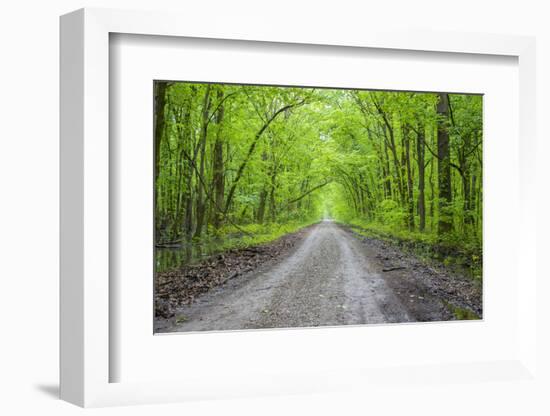 LaRue-Pine Hills Otter Pond Natural Area, Shawnee National Forest. Union County, Illinois.-Richard & Susan Day-Framed Photographic Print