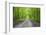 LaRue-Pine Hills Otter Pond Natural Area, Shawnee National Forest. Union County, Illinois.-Richard & Susan Day-Framed Photographic Print