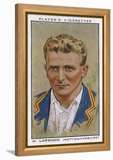 Larwood, Cricketer-null-Framed Stretched Canvas