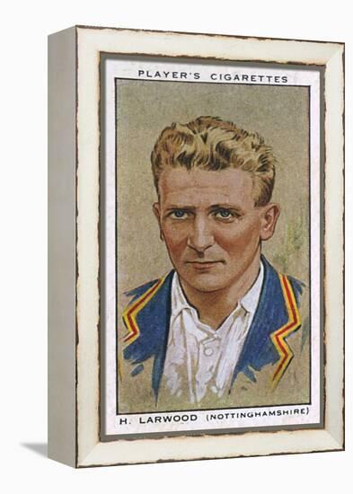 Larwood, Cricketer-null-Framed Stretched Canvas