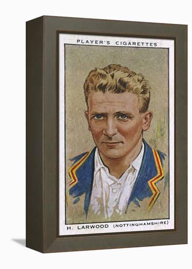 Larwood, Cricketer-null-Framed Stretched Canvas