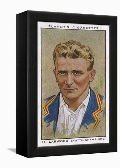 Larwood, Cricketer-null-Framed Stretched Canvas