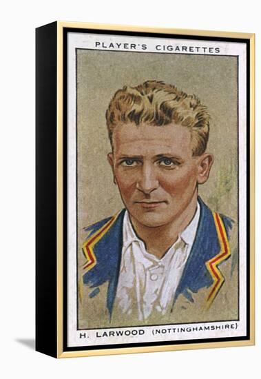 Larwood, Cricketer-null-Framed Stretched Canvas