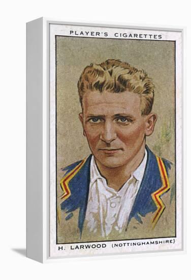 Larwood, Cricketer-null-Framed Stretched Canvas