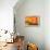 Las Alpujarras, Spain-Ynon Mabat-Framed Premier Image Canvas displayed on a wall