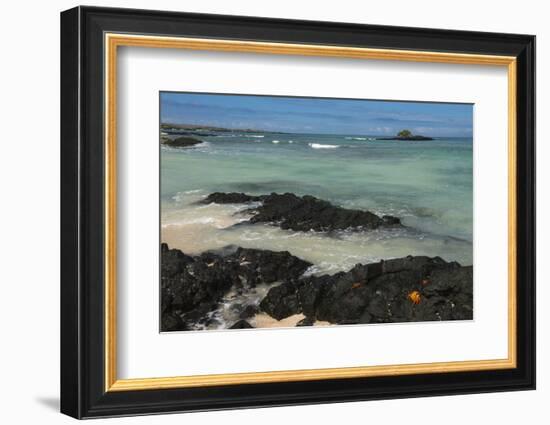 Las Bachas Beach, Santa Cruz Island, Galapagos Islands, Ecuador-Pete Oxford-Framed Photographic Print