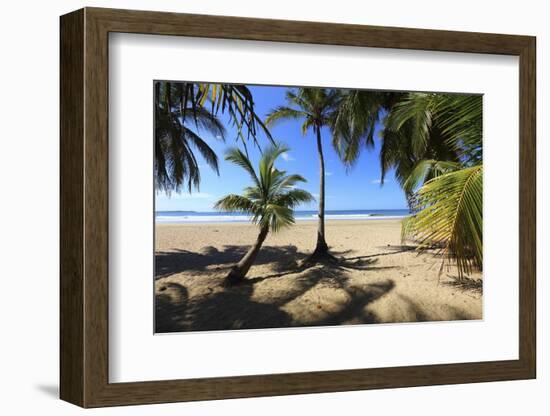 Las Baulas Marine National Park, Playa Grande Beach.-Stefano Amantini-Framed Photographic Print