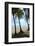 Las Baulas Marine National Park, Playa Grande Beach.-Stefano Amantini-Framed Photographic Print