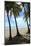 Las Baulas Marine National Park, Playa Grande Beach.-Stefano Amantini-Mounted Photographic Print