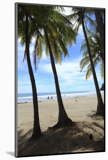 Las Baulas Marine National Park, Playa Grande Beach.-Stefano Amantini-Mounted Photographic Print