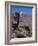Las Canadas, Parque Nacional Del Teide, UNESCO World Heritage Site, Tenerife, Canary Islands, Spain-Hans Peter Merten-Framed Photographic Print