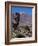 Las Canadas, Parque Nacional Del Teide, UNESCO World Heritage Site, Tenerife, Canary Islands, Spain-Hans Peter Merten-Framed Photographic Print