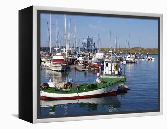 Las Galletas, Tenerife, Canary Islands, Spain, Atlantic, Europe-Jeremy Lightfoot-Framed Premier Image Canvas