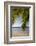 Las Terrenas, Samana Peninsula, Dominican Republic, West Indies, Caribbean, Central America-Angelo Cavalli-Framed Photographic Print