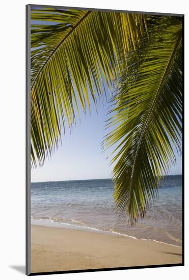 Las Terrenas, Samana Peninsula, Dominican Republic, West Indies, Caribbean, Central America-Angelo Cavalli-Mounted Photographic Print