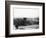 Las Vegas Roots-null-Framed Photographic Print