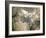 Las Vegas, Satellite Image-PLANETOBSERVER-Framed Photographic Print