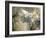 Las Vegas, Satellite Image-PLANETOBSERVER-Framed Photographic Print