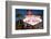 Las Vegas Sign at Night, Nevada, United States of America, North America-Ben Pipe-Framed Photographic Print