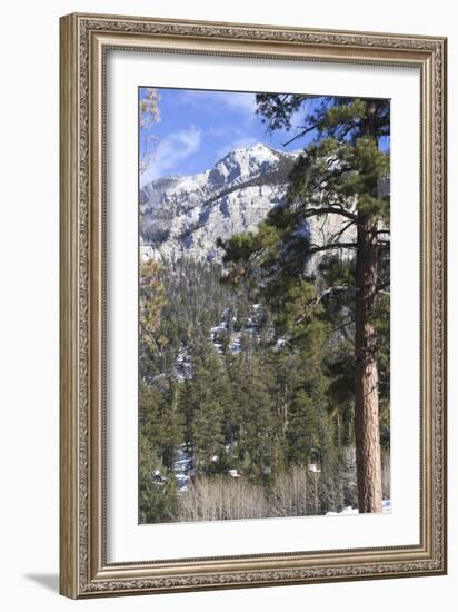 Las Vegas Ski and Snowboard Resort, Mt Charleston, Near Las Vegas, Nevada, United States-Natalie Tepper-Framed Photo