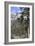 Las Vegas Ski and Snowboard Resort, Mt Charleston, Near Las Vegas, Nevada, United States-Natalie Tepper-Framed Photo