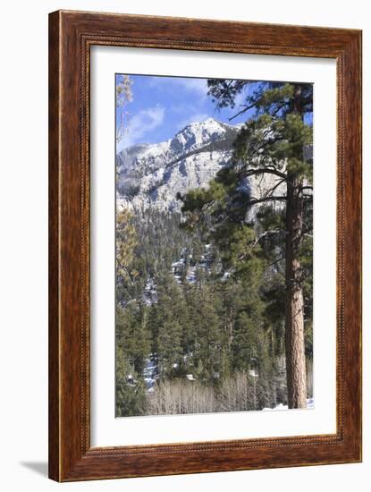 Las Vegas Ski and Snowboard Resort, Mt Charleston, Near Las Vegas, Nevada, United States-Natalie Tepper-Framed Photo