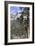 Las Vegas Ski and Snowboard Resort, Mt Charleston, Near Las Vegas, Nevada, United States-Natalie Tepper-Framed Photo