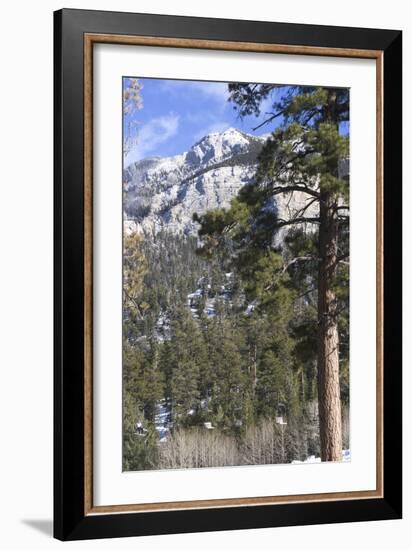 Las Vegas Ski and Snowboard Resort, Mt Charleston, Near Las Vegas, Nevada, United States-Natalie Tepper-Framed Photo