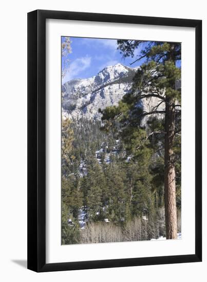 Las Vegas Ski and Snowboard Resort, Mt Charleston, Near Las Vegas, Nevada, United States-Natalie Tepper-Framed Photo