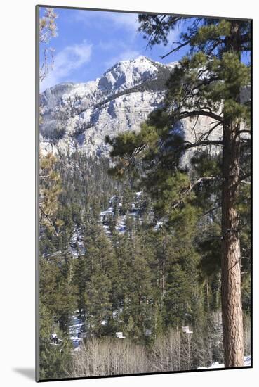 Las Vegas Ski and Snowboard Resort, Mt Charleston, Near Las Vegas, Nevada, United States-Natalie Tepper-Mounted Photo