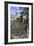 Las Vegas Ski and Snowboard Resort, Mt Charleston, Near Las Vegas, Nevada, United States-Natalie Tepper-Framed Photo