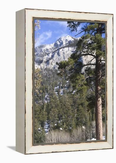 Las Vegas Ski and Snowboard Resort, Mt Charleston, Near Las Vegas, Nevada, United States-Natalie Tepper-Framed Stretched Canvas