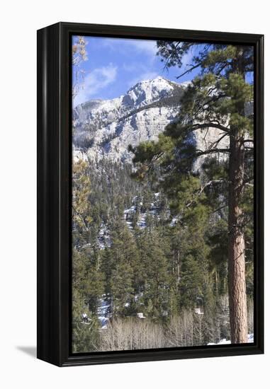 Las Vegas Ski and Snowboard Resort, Mt Charleston, Near Las Vegas, Nevada, United States-Natalie Tepper-Framed Stretched Canvas