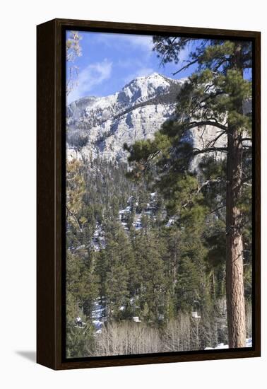 Las Vegas Ski and Snowboard Resort, Mt Charleston, Near Las Vegas, Nevada, United States-Natalie Tepper-Framed Stretched Canvas