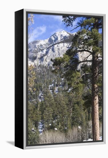 Las Vegas Ski and Snowboard Resort, Mt Charleston, Near Las Vegas, Nevada, United States-Natalie Tepper-Framed Stretched Canvas