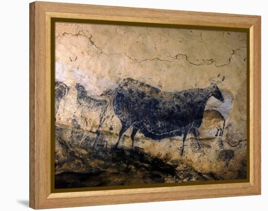 Lascaux Cave Drawing Depicting Steer, Circa 15,000 BC-Ralph Morse-Framed Premier Image Canvas