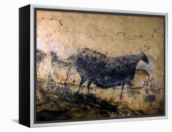 Lascaux Cave Drawing Depicting Steer, Circa 15,000 BC-Ralph Morse-Framed Premier Image Canvas