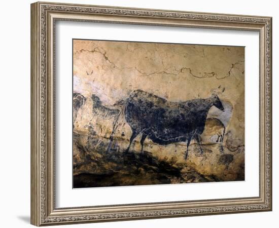 Lascaux Cave Drawing Depicting Steer, Circa 15,000 BC-Ralph Morse-Framed Photographic Print