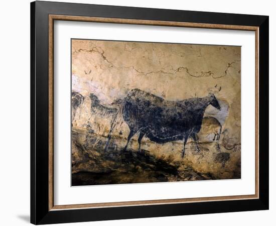 Lascaux Cave Drawing Depicting Steer, Circa 15,000 BC-Ralph Morse-Framed Photographic Print