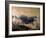 Lascaux Cave Drawing Depicting Steer, Circa 15,000 BC-Ralph Morse-Framed Photographic Print