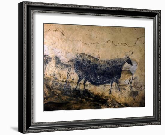 Lascaux Cave Drawing Depicting Steer, Circa 15,000 BC-Ralph Morse-Framed Photographic Print