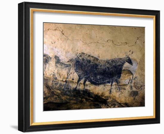 Lascaux Cave Drawing Depicting Steer, Circa 15,000 BC-Ralph Morse-Framed Photographic Print