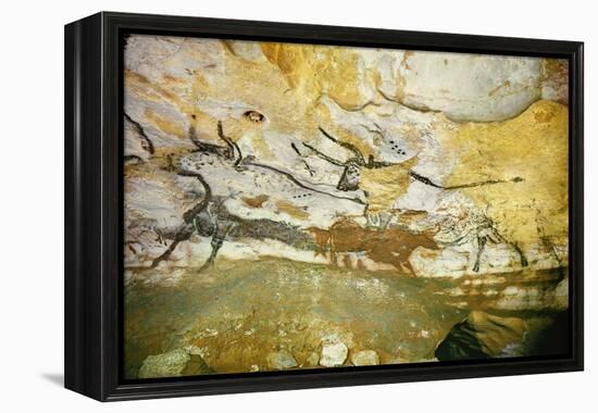 Lascaux Caves, Right Wall of the Hall of Bulls, C. 17,000 BC-null-Framed Premier Image Canvas