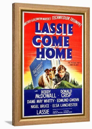 "Lassie Come Home" 1943, Directed by Fred Wilcox-null-Framed Premier Image Canvas