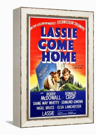 "Lassie Come Home" 1943, Directed by Fred Wilcox-null-Framed Premier Image Canvas