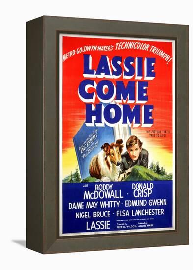 "Lassie Come Home" 1943, Directed by Fred Wilcox-null-Framed Premier Image Canvas