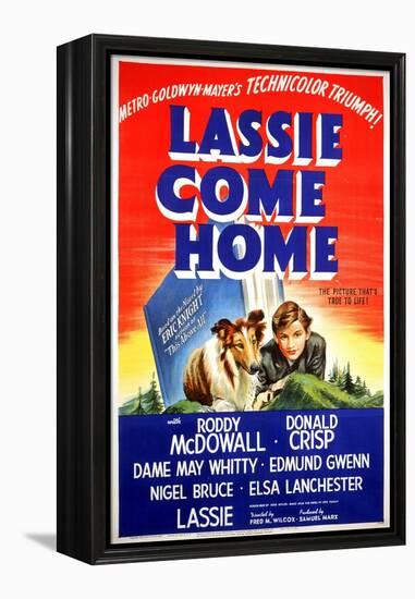 "Lassie Come Home" 1943, Directed by Fred Wilcox-null-Framed Premier Image Canvas