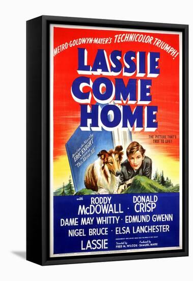 "Lassie Come Home" 1943, Directed by Fred Wilcox-null-Framed Premier Image Canvas